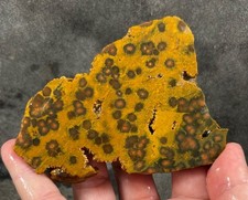 Ocean jasper rough for sale  Fountain Valley