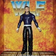 Jeff hardy wwe for sale  PETERLEE