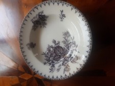 Piatti antichi sarreguemines usato  Carpaneto Piacentino