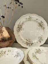 Rare dinner plates for sale  BRAUNTON