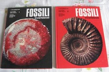 Fossili invertebrati meravigli usato  Busto Arsizio