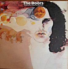 The doors vinyl gebraucht kaufen  Colditz