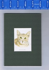 Egyptian mau cat for sale  Enterprise