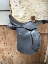 17.5 hart black for sale  BARNARD CASTLE