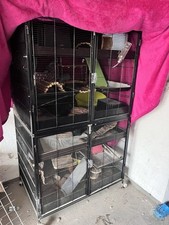 Nagerkäfig rattenkäfig maxim gebraucht kaufen  Fehrb.,-Winzeln