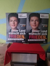 Bsw bündenis sahra gebraucht kaufen  Hannover