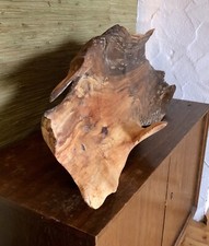 Treibholz schale skulptur gebraucht kaufen  München