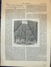 Old antique print d'occasion  Expédié en Belgium