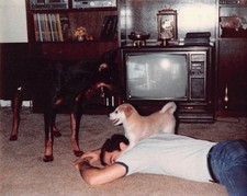 Vtg 1980s photo for sale  Santa Rosa