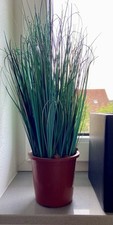 Ziergräser künstliches gras gebraucht kaufen  Poxdorf