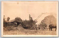 Farmer pitches hay for sale  Newton