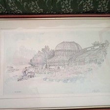 Palm house belfast for sale  ENNISKILLEN