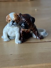 Royal worcester bulldog for sale  REDRUTH