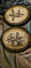 Beautiful pheasant pictures for sale  Remington
