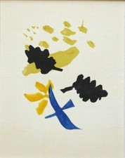 braque francais for sale  LEICESTER