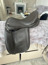 Fylde davina brown for sale  POULTON-LE-FYLDE