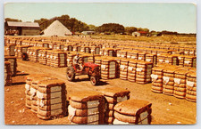 Cotton gin united for sale  Gilbert