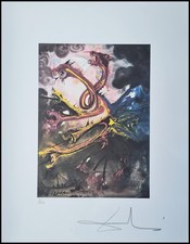 Salvador dali the gebraucht kaufen  Mönchengladbach