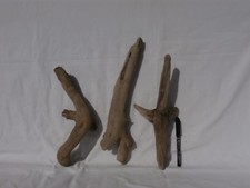 Legno mare bastoni usato  Orbetello