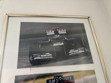 Riginal bruno senna gebraucht kaufen  Eisenach