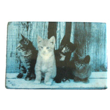 Cat refrigerator magnet for sale  Benson