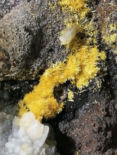 Boltwoodite ore mineral usato  Udine