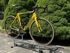 Używany, Bianchi Intenso Team Rynkeby na grupie Campagnolo na sprzedaż  PL
