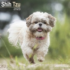 Calendrier 2023 shih d'occasion  Troyes