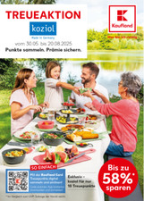 Punkte koziol kaufland gebraucht kaufen  Barsbüttel