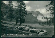 Torino bobbio pellice usato  Gambolo