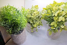 Usado,  3 PlSets Plantas Falsas Pequenas Plantas Artificiais em Vaso para Casa ou Quarto Presente comprar usado  Enviando para Brazil