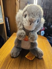Steiff hase gebraucht kaufen  Neu-Ulm