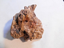 maple burl wood for sale  Englewood