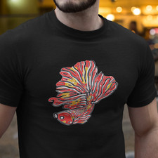 Red betta fish for sale  CHESTERFIELD