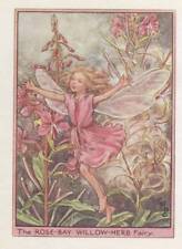 Flower fairies rose for sale  MOLD