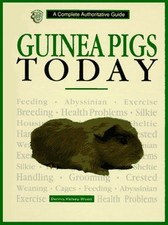 Guinea pigs today for sale  San Jose