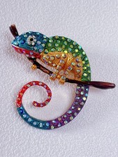 Rainbow chameleon brooch for sale Rainbow chameleon brooch for sale  SUTTON COLDFIELD