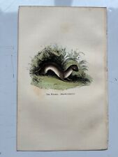 Weasel antique hand for sale  HORNCASTLE