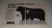 1983 american angus for sale  Madison Heights