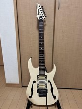 Ibanez pgm chitarra usato  Spedire a Italy