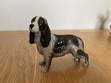 Berwick blue roan for sale  GOSPORT