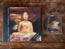 Various buddha bar usato  Monte San Pietro