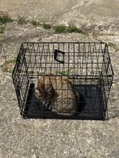 Animal cage for sale  Kingston
