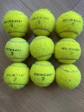 Dog toy used for sale  WINSFORD