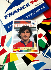 233 panini miguel d'occasion  Auch