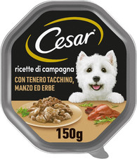 Ricette campagna cibo usato  Roma