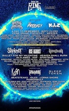 Weekend festival ticket gebraucht kaufen  Hüfingen