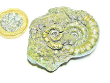 Super rare multi for sale  ISLE OF LEWIS