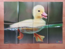 Medizini poster 2009 gebraucht kaufen  Wilkau-Haßlau