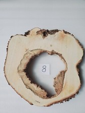 Int8 deko baumscheibe gebraucht kaufen  Meiningen